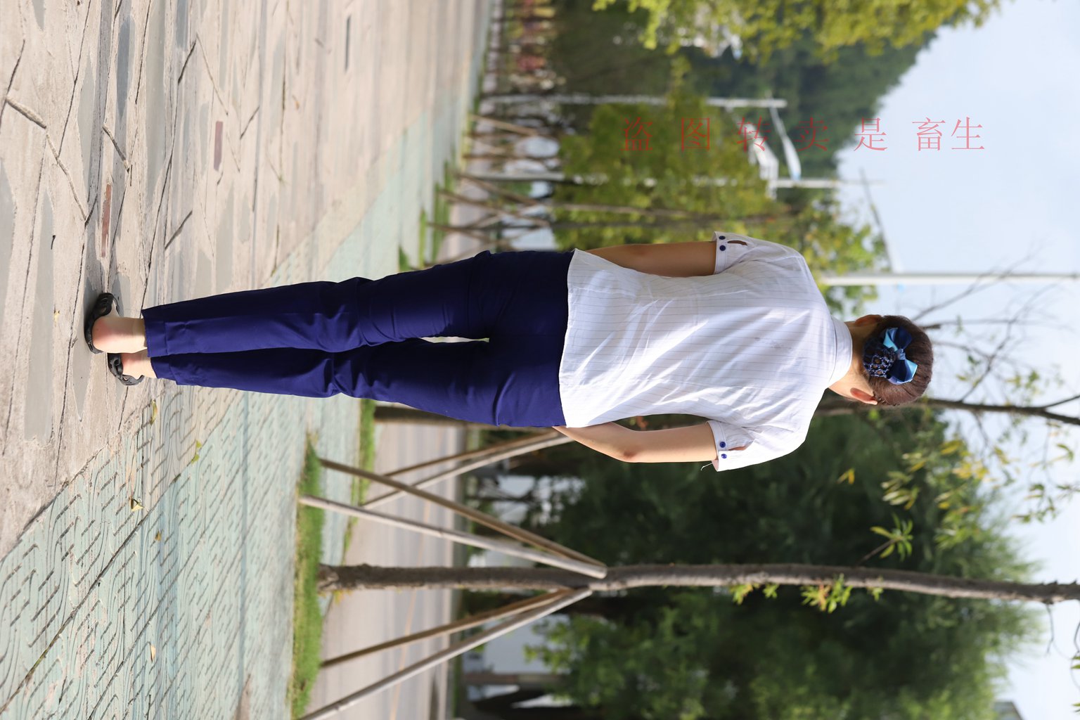 图片[13]-[大西瓜爱牙膏] S系列 S052 方案七-5-集美图