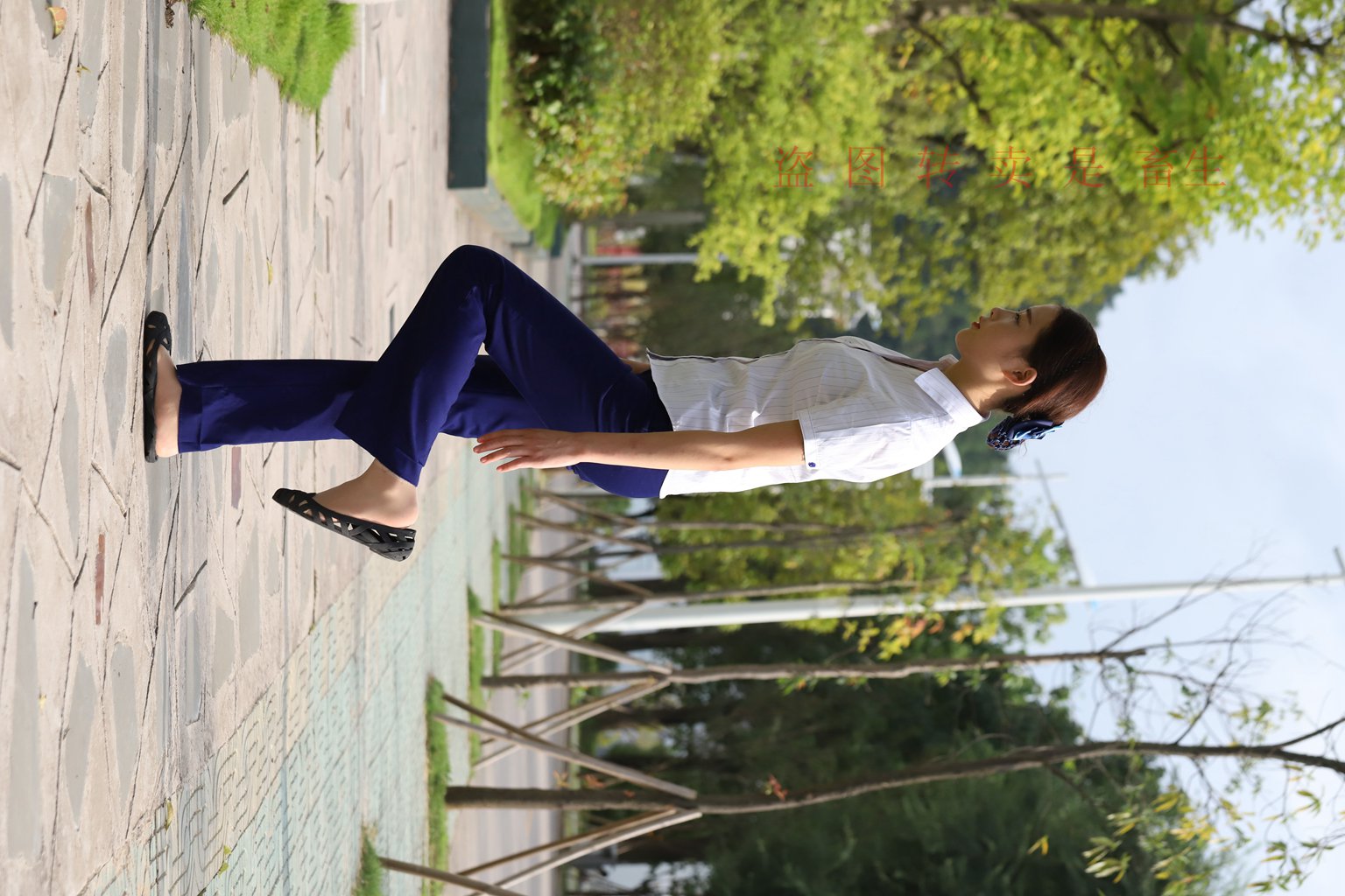 图片[16]-[大西瓜爱牙膏] S系列 S052 方案七-5-集美图