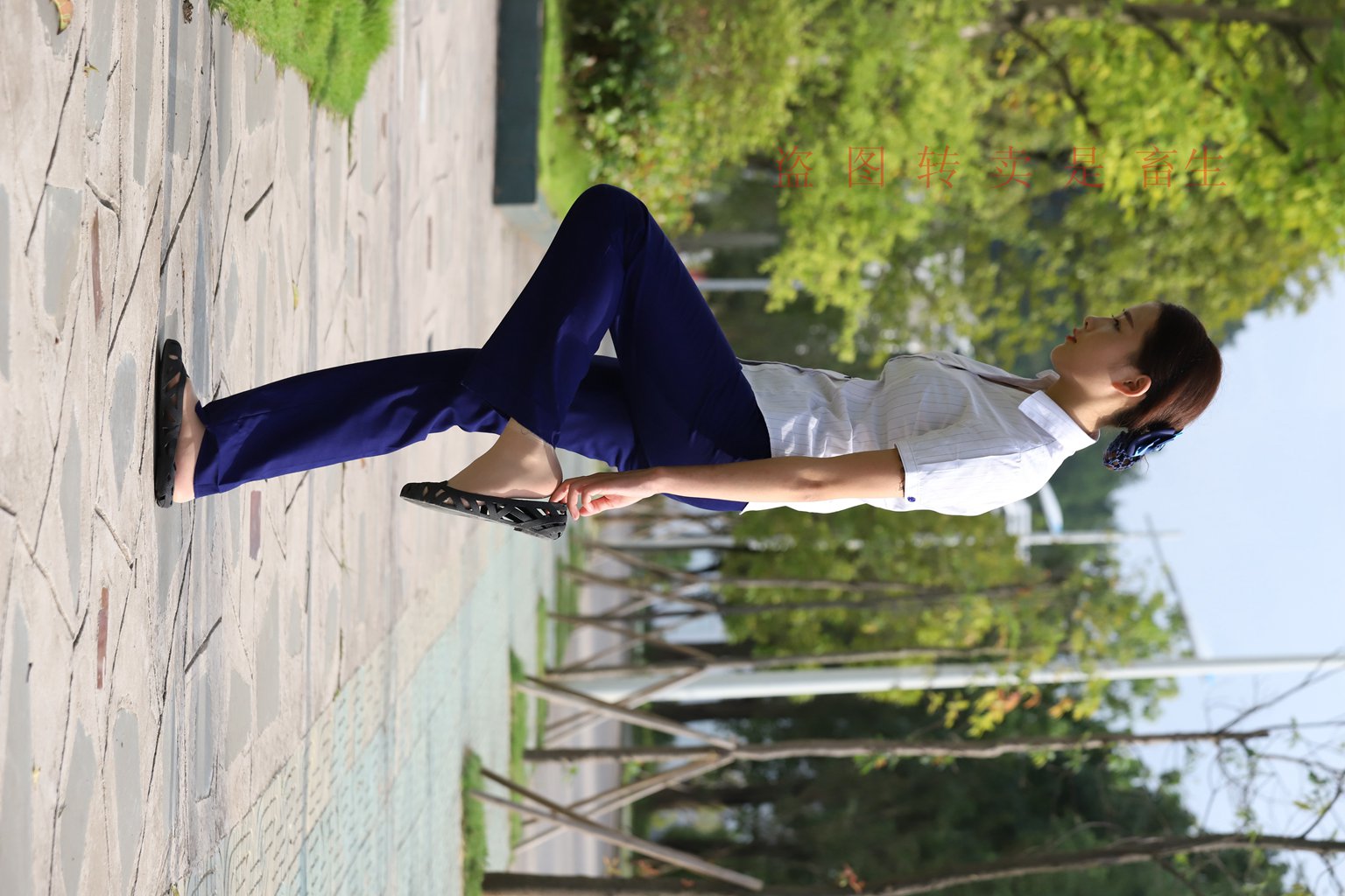 图片[18]-[大西瓜爱牙膏] S系列 S052 方案七-5-集美图