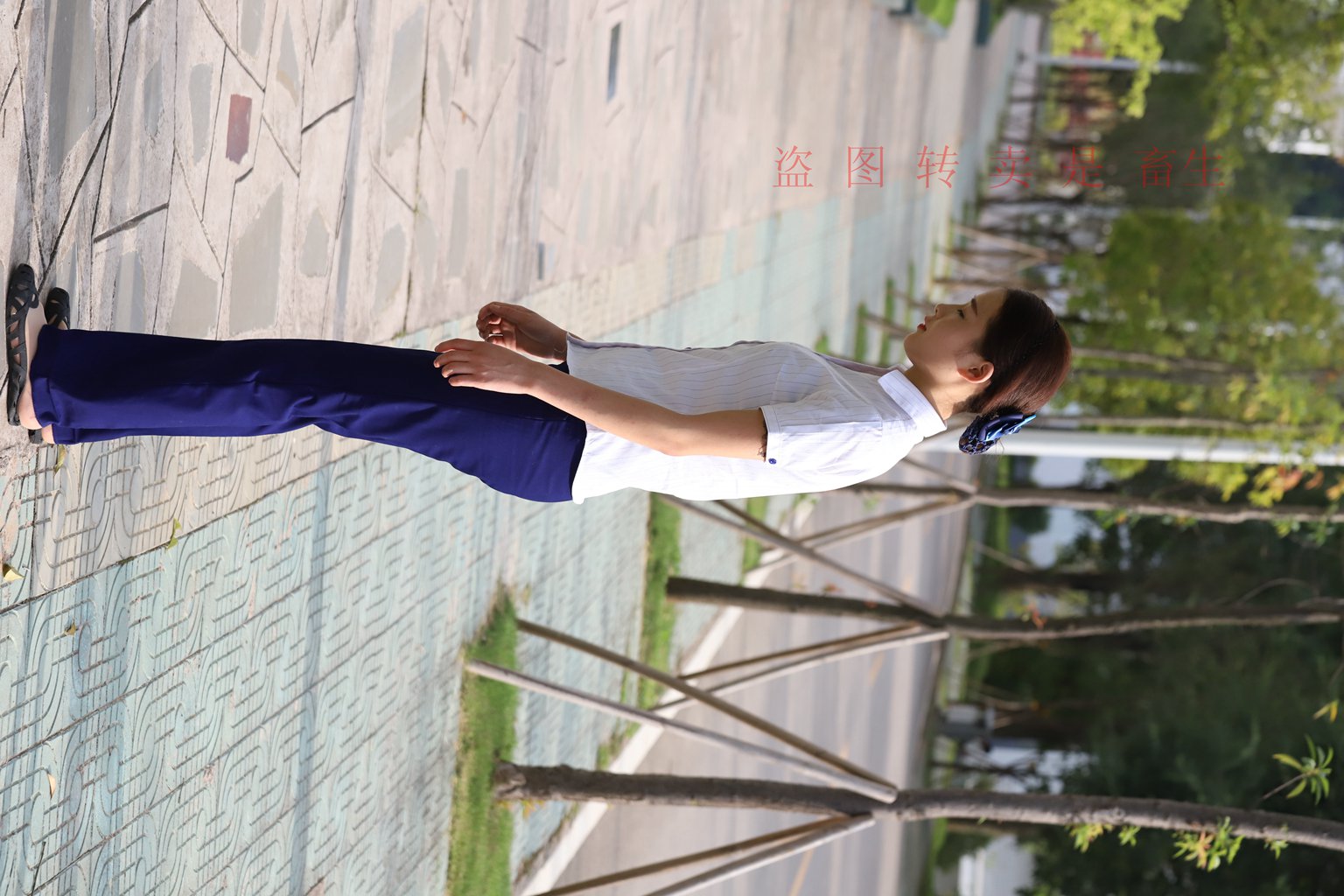 图片[19]-[大西瓜爱牙膏] S系列 S052 方案七-5-集美图