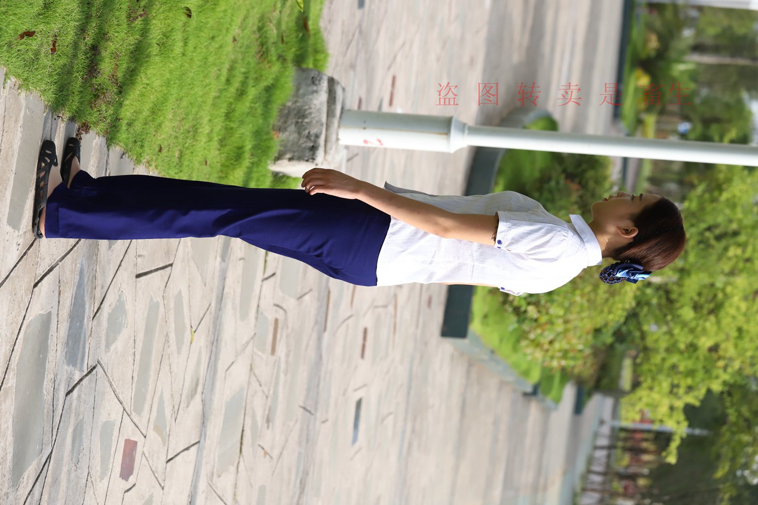 图片[28]-[大西瓜爱牙膏] S系列 S052 方案七-5-集美图