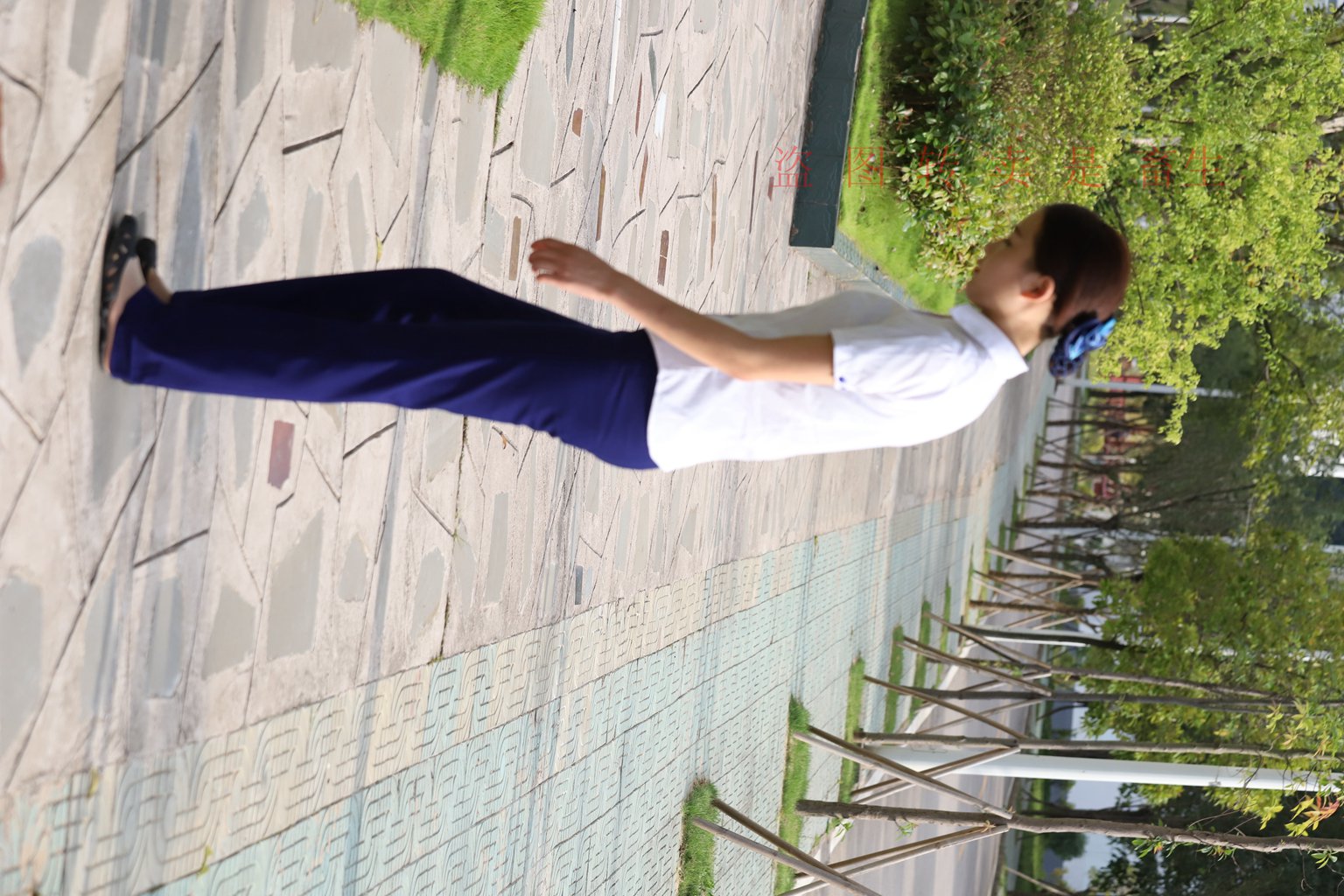 图片[30]-[大西瓜爱牙膏] S系列 S052 方案七-5-集美图