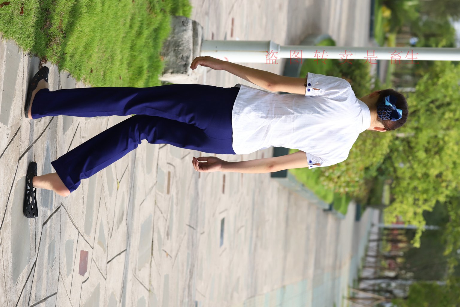 图片[34]-[大西瓜爱牙膏] S系列 S052 方案七-5-集美图