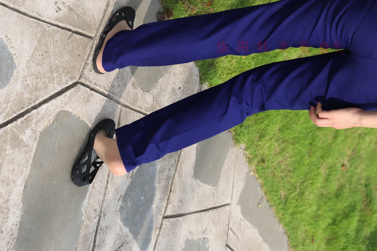 图片[36]-[大西瓜爱牙膏] S系列 S052 方案七-5-集美图