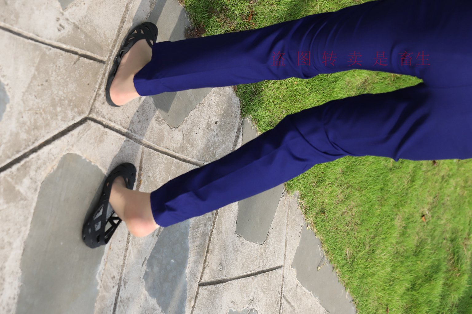 图片[37]-[大西瓜爱牙膏] S系列 S052 方案七-5-集美图