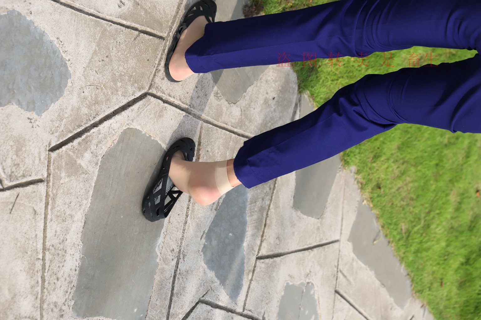 图片[38]-[大西瓜爱牙膏] S系列 S052 方案七-5-集美图