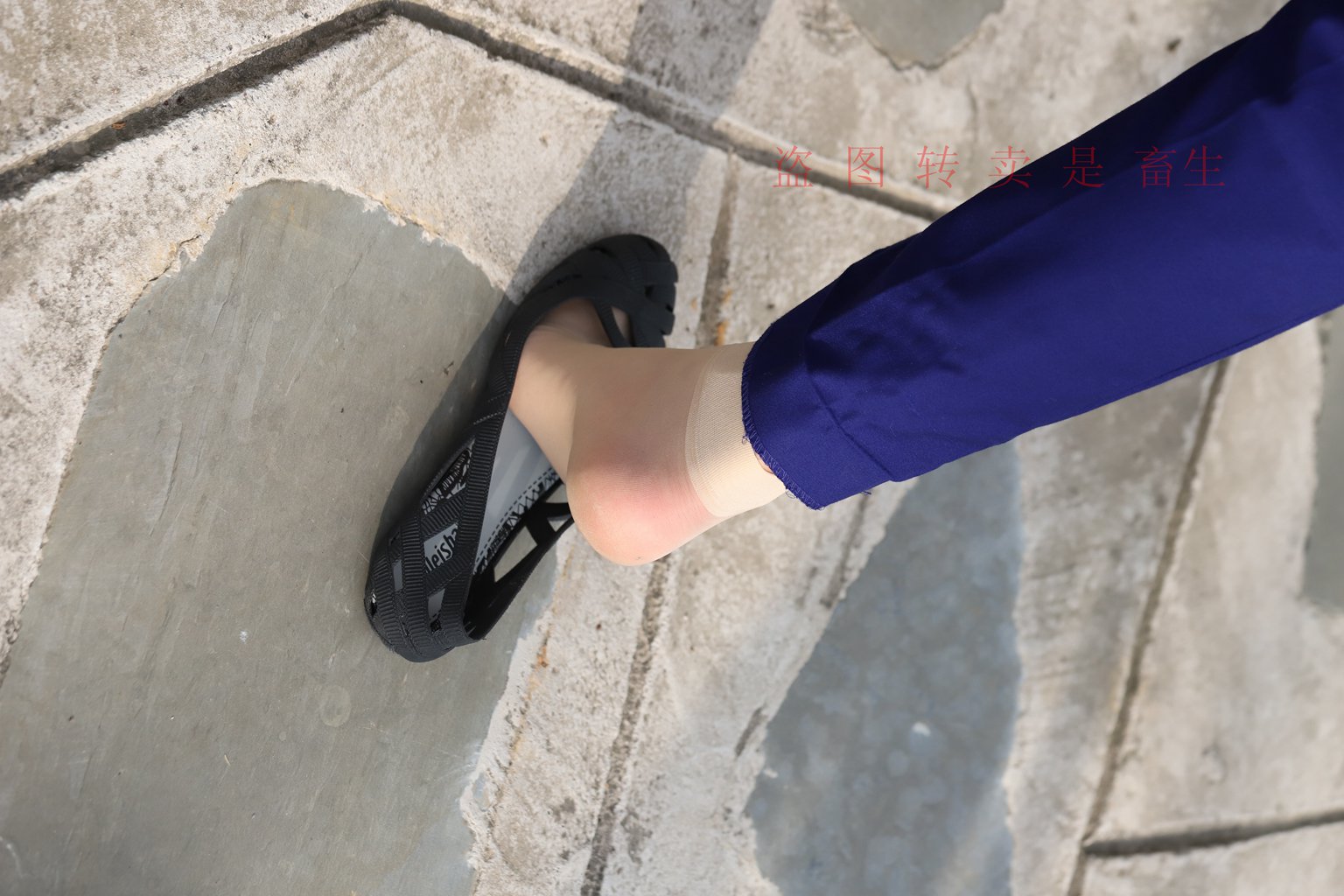 图片[39]-[大西瓜爱牙膏] S系列 S052 方案七-5-集美图