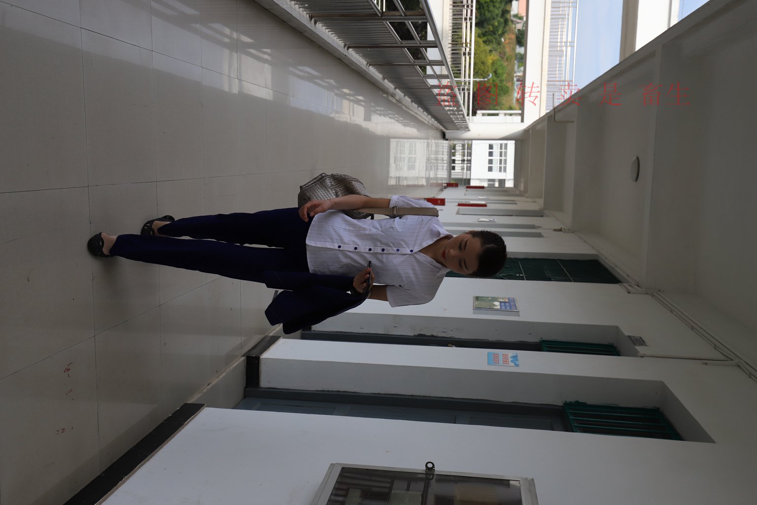 图片[48]-[大西瓜爱牙膏] S系列 S052 方案七-5-集美图