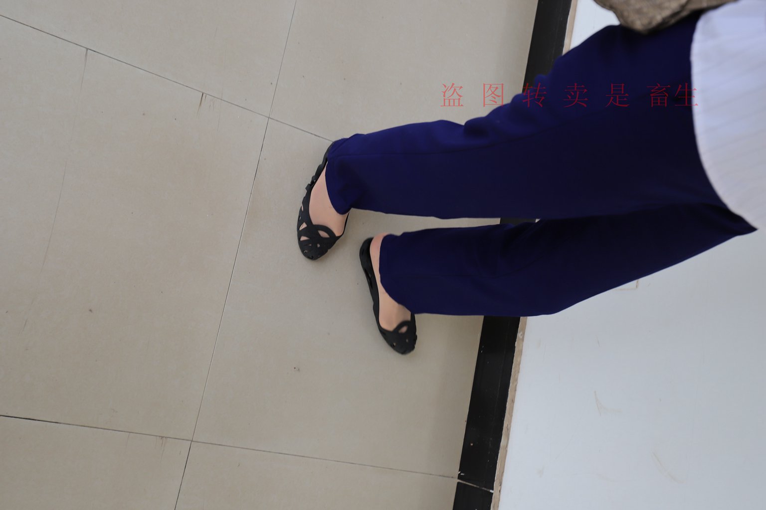 图片[54]-[大西瓜爱牙膏] S系列 S052 方案七-5-集美图