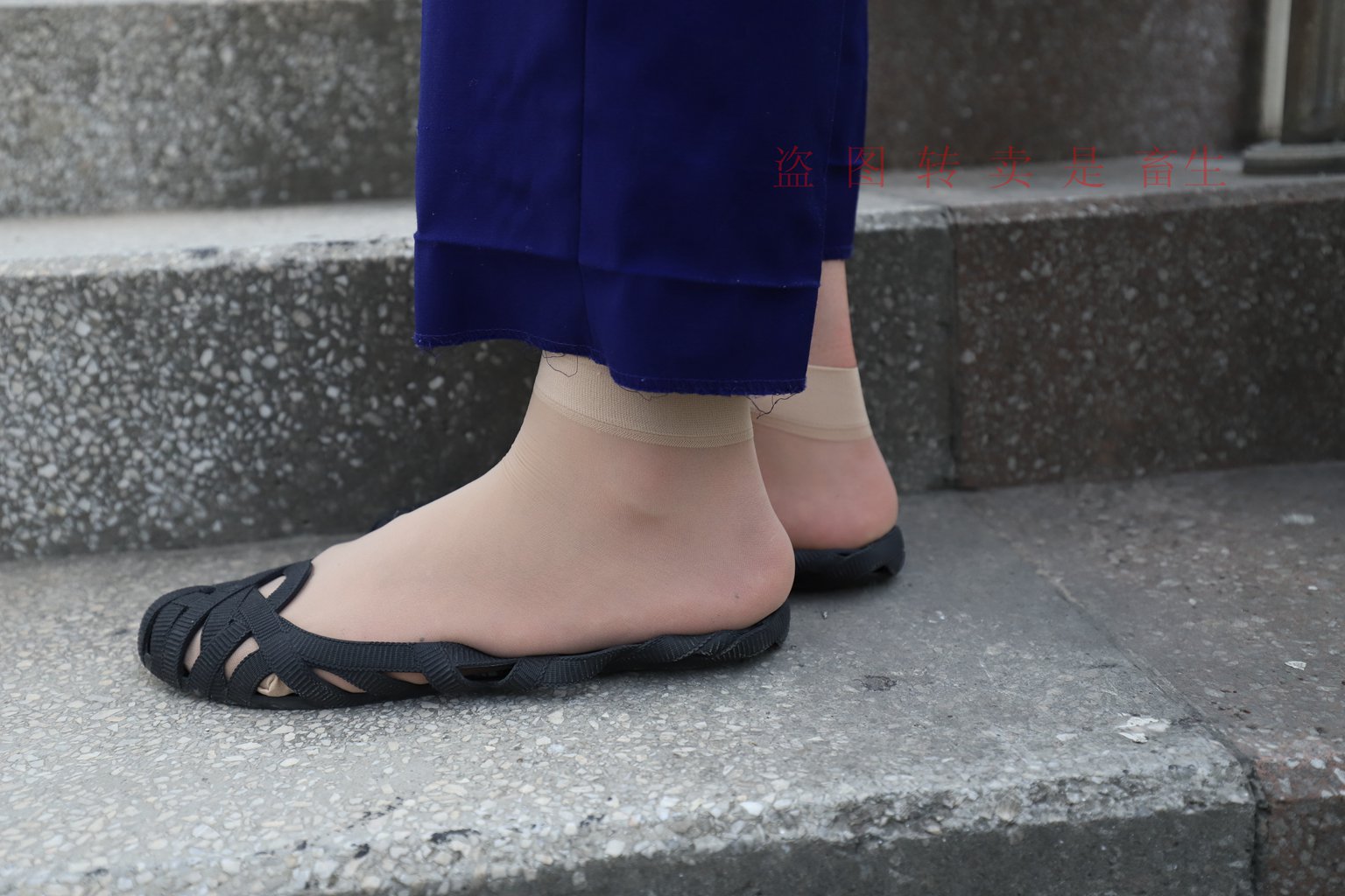 图片[59]-[大西瓜爱牙膏] S系列 S052 方案七-5-集美图