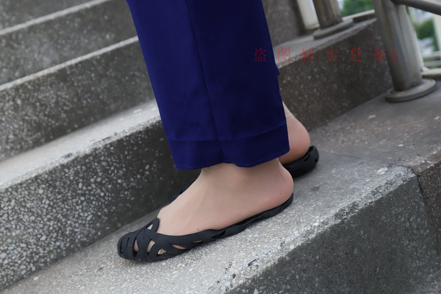 图片[61]-[大西瓜爱牙膏] S系列 S052 方案七-5-集美图