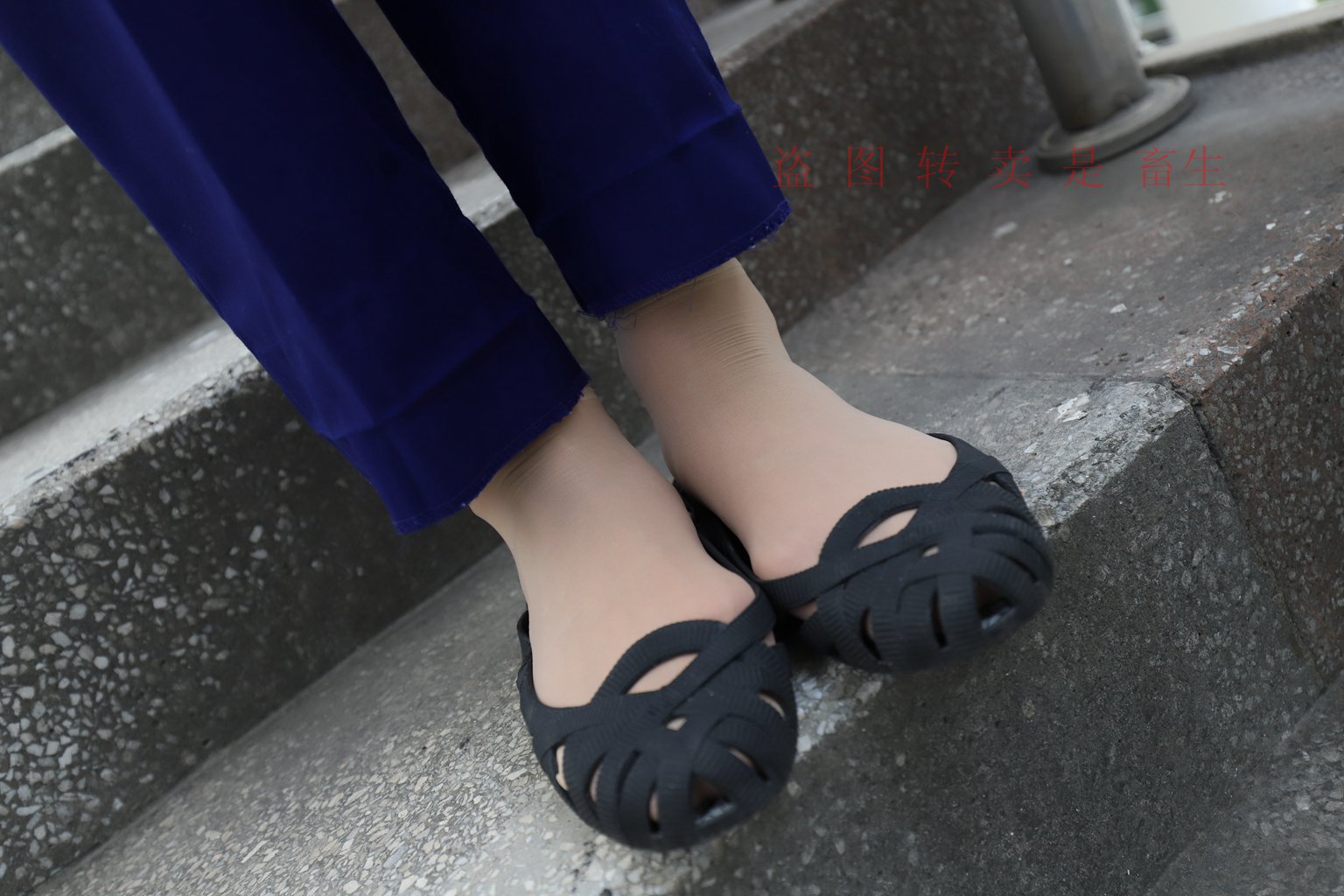 图片[66]-[大西瓜爱牙膏] S系列 S052 方案七-5-集美图