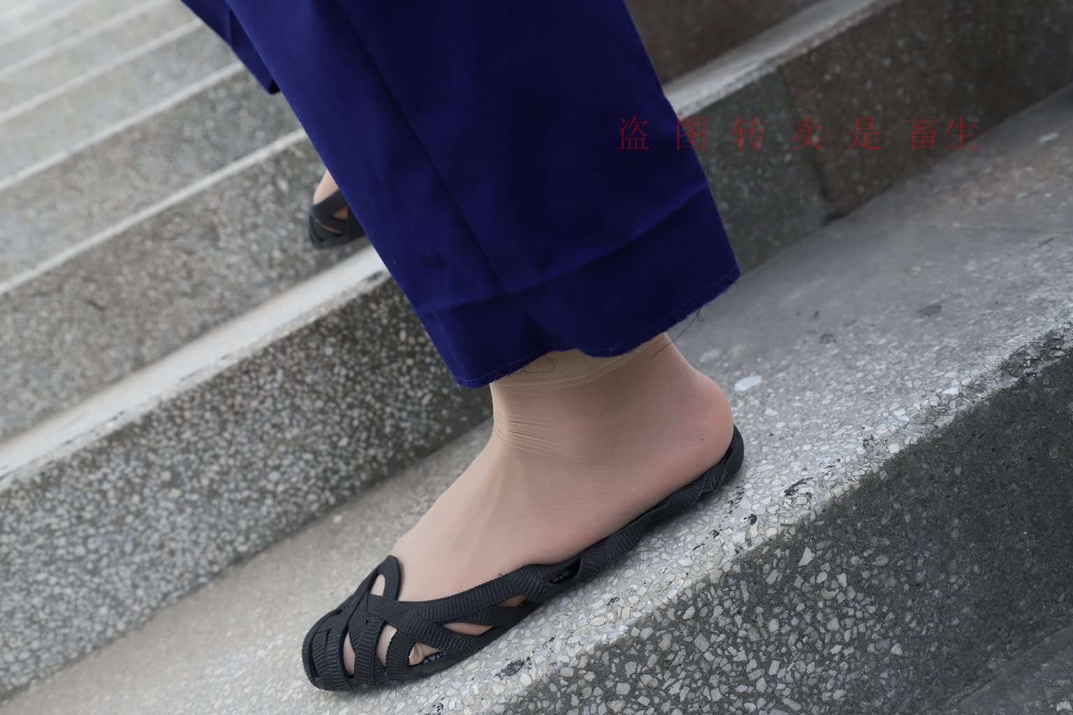 图片[72]-[大西瓜爱牙膏] S系列 S052 方案七-5-集美图