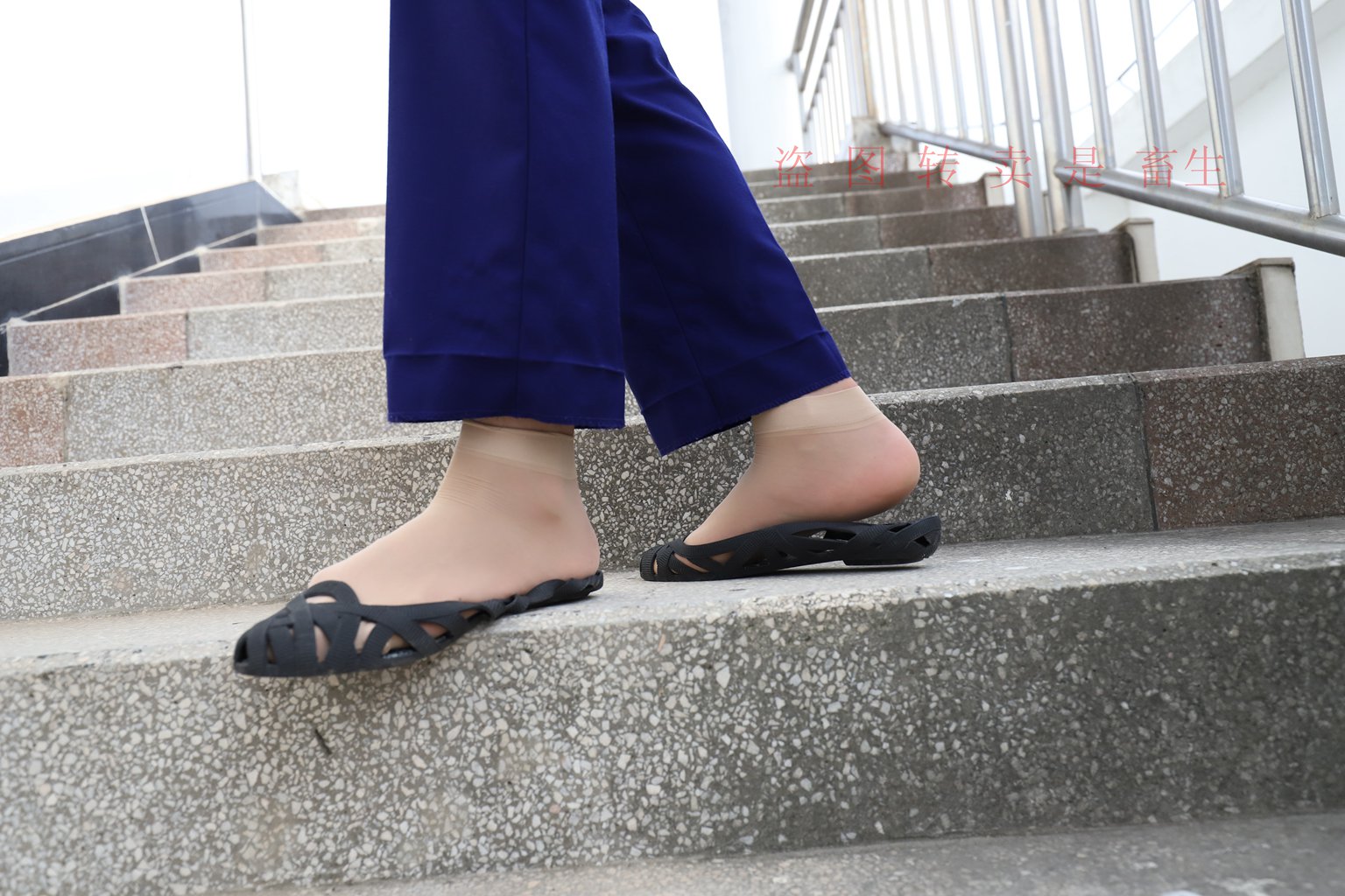 图片[81]-[大西瓜爱牙膏] S系列 S052 方案七-5-集美图