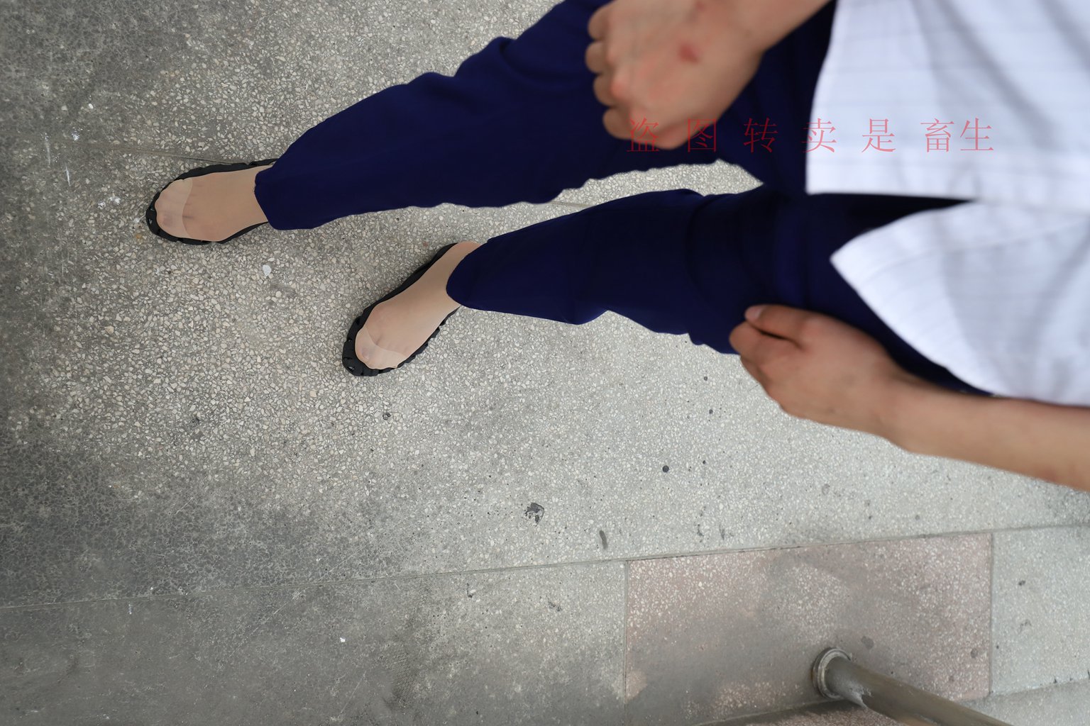 图片[127]-[大西瓜爱牙膏] S系列 S052 方案七-5-集美图