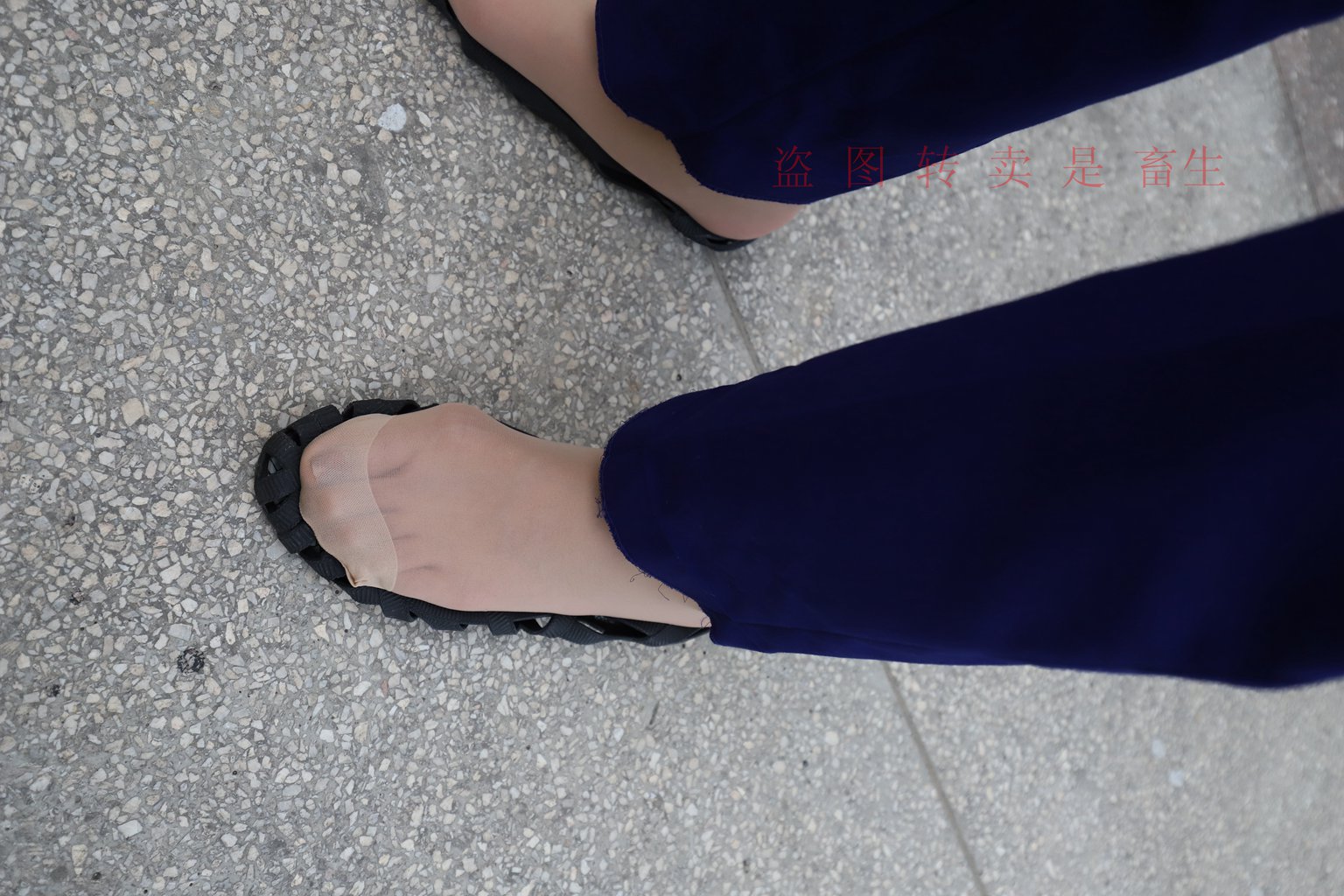 图片[131]-[大西瓜爱牙膏] S系列 S052 方案七-5-集美图