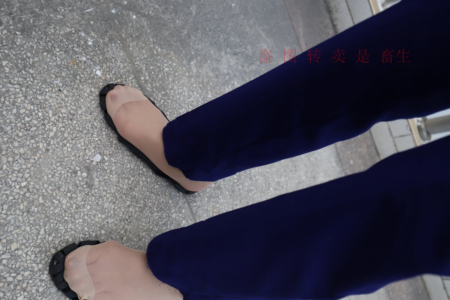 图片[132]-[大西瓜爱牙膏] S系列 S052 方案七-5-集美图