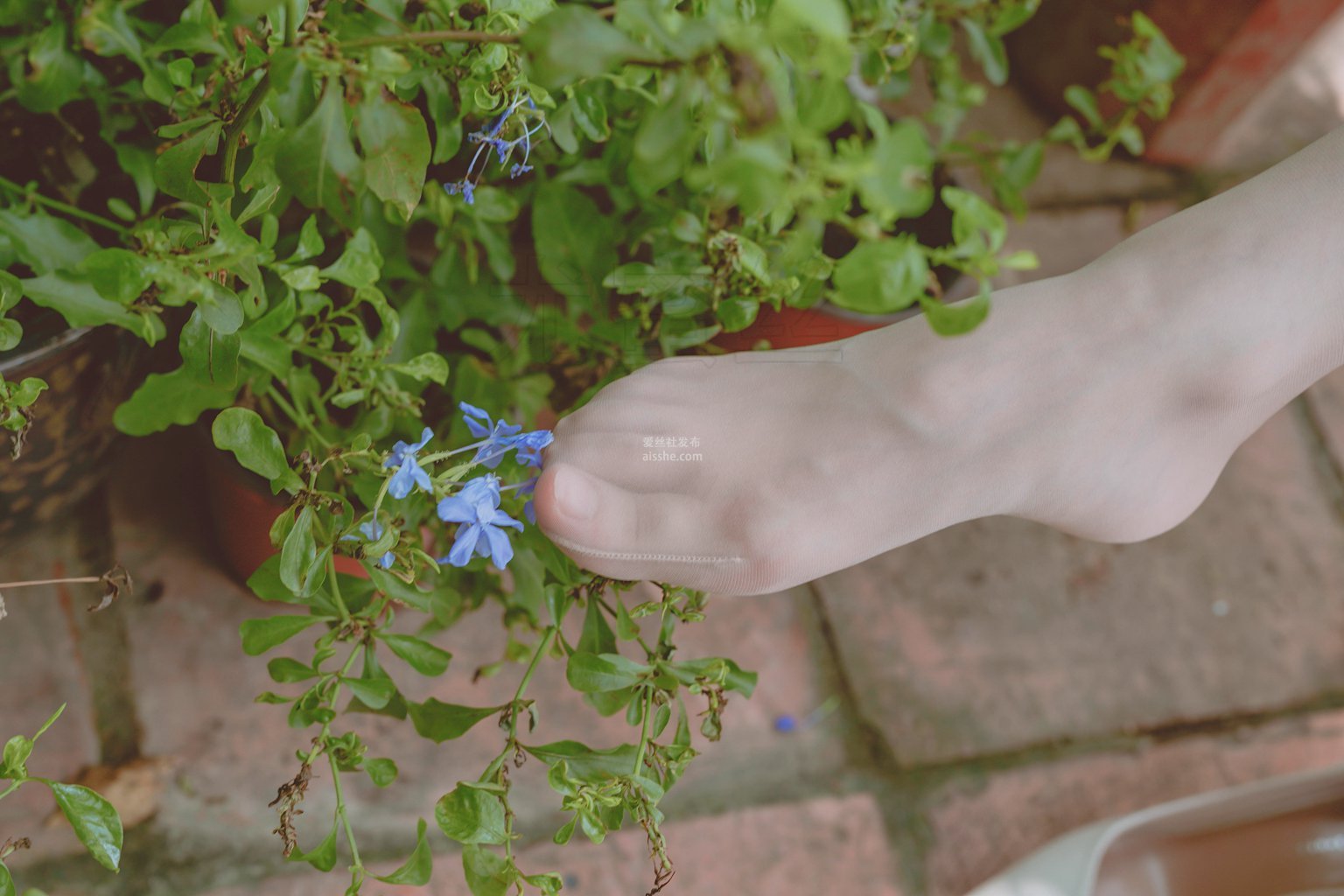 图片[42]-尤密思 No.001 穿搭推广展示图集-集美图