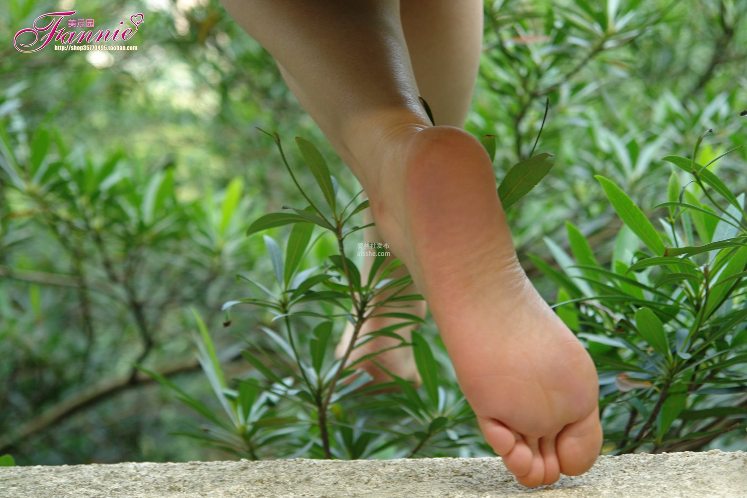 图片[28]-Fannie芬妮每足园 No.090 穿过绿荫-集美图