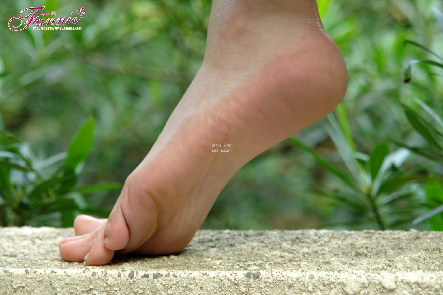 图片[39]-Fannie芬妮每足园 No.090 穿过绿荫-集美图