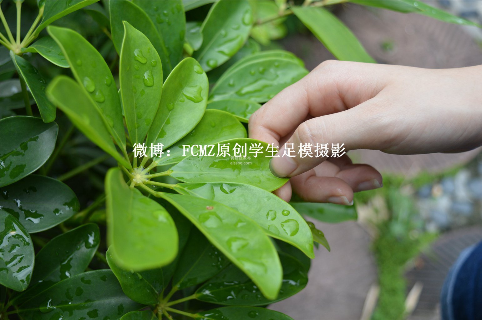 图片[41]-FCMZ原创学生足模摄影 No.033 苗苗-集美图