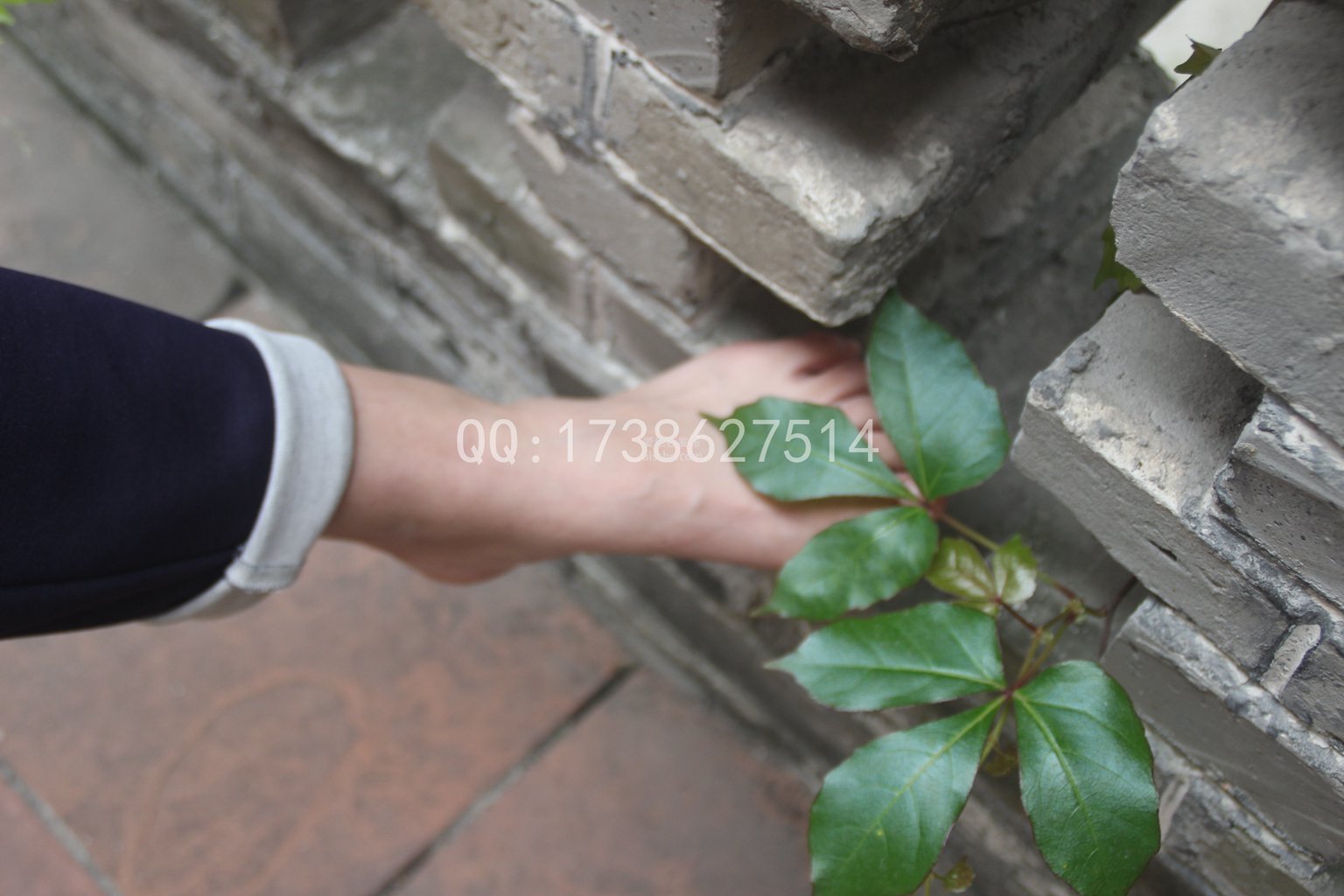 图片[65]-FCMZ原创学生足模摄影 No.039 肉肉-集美图