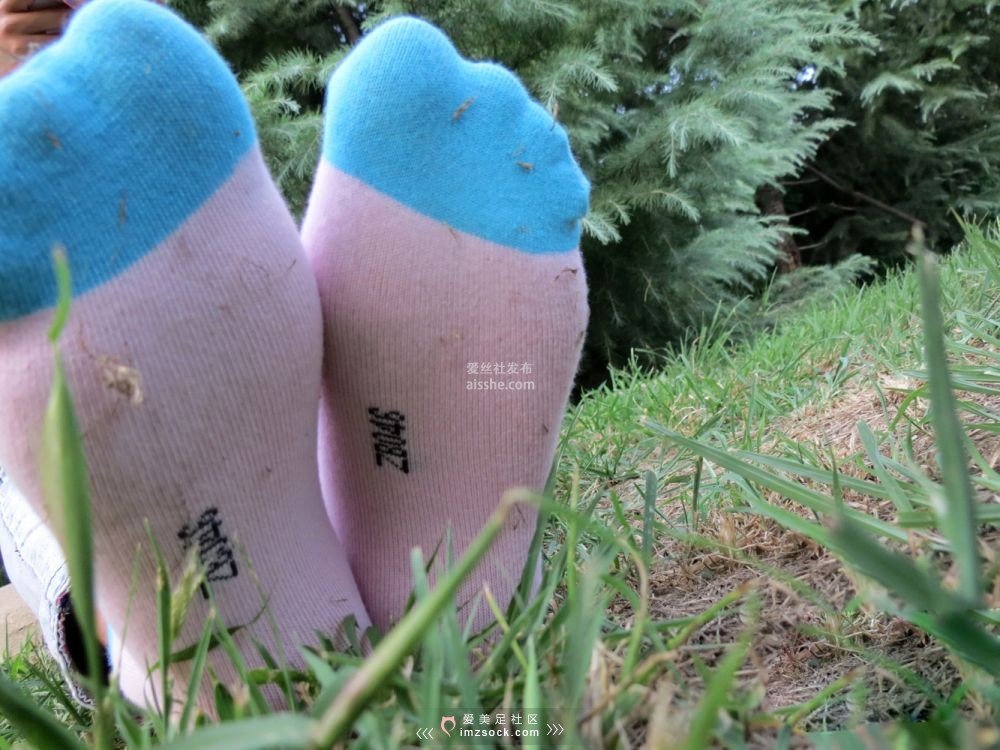 图片[96]-MZSOCK NO.031-2018年-帆布鞋可爱卡通棉袜 【第一季】-集美图