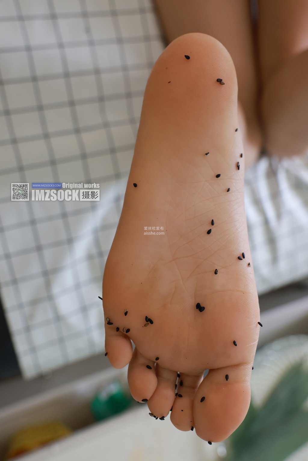 图片[91]-MZSOCK 2024.7.29 第二十五期 倩儿新品2-集美图