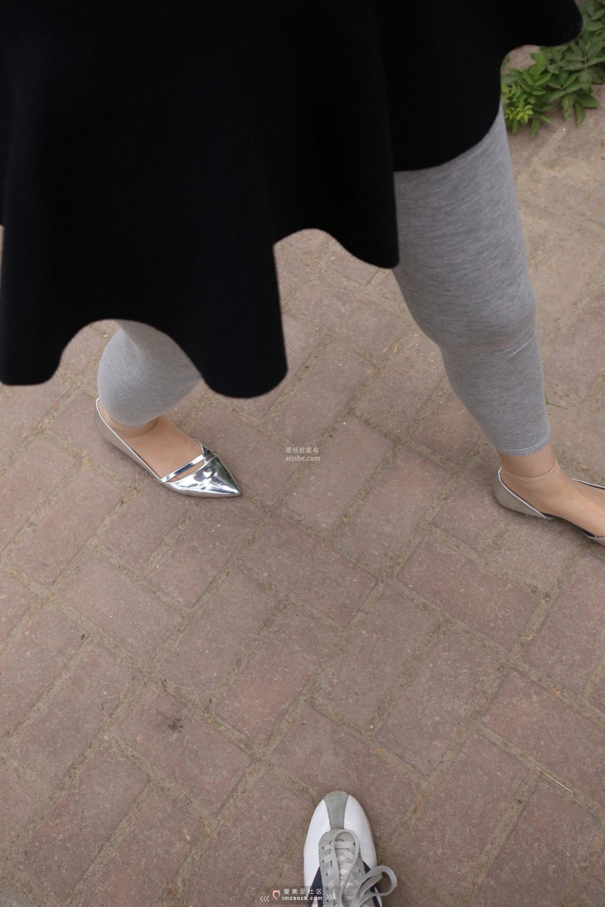 图片[176]-MZSOCK NO.233-2018年-舞蹈系 灰色打底裤 短丝小姐姐 【下部】-集美图