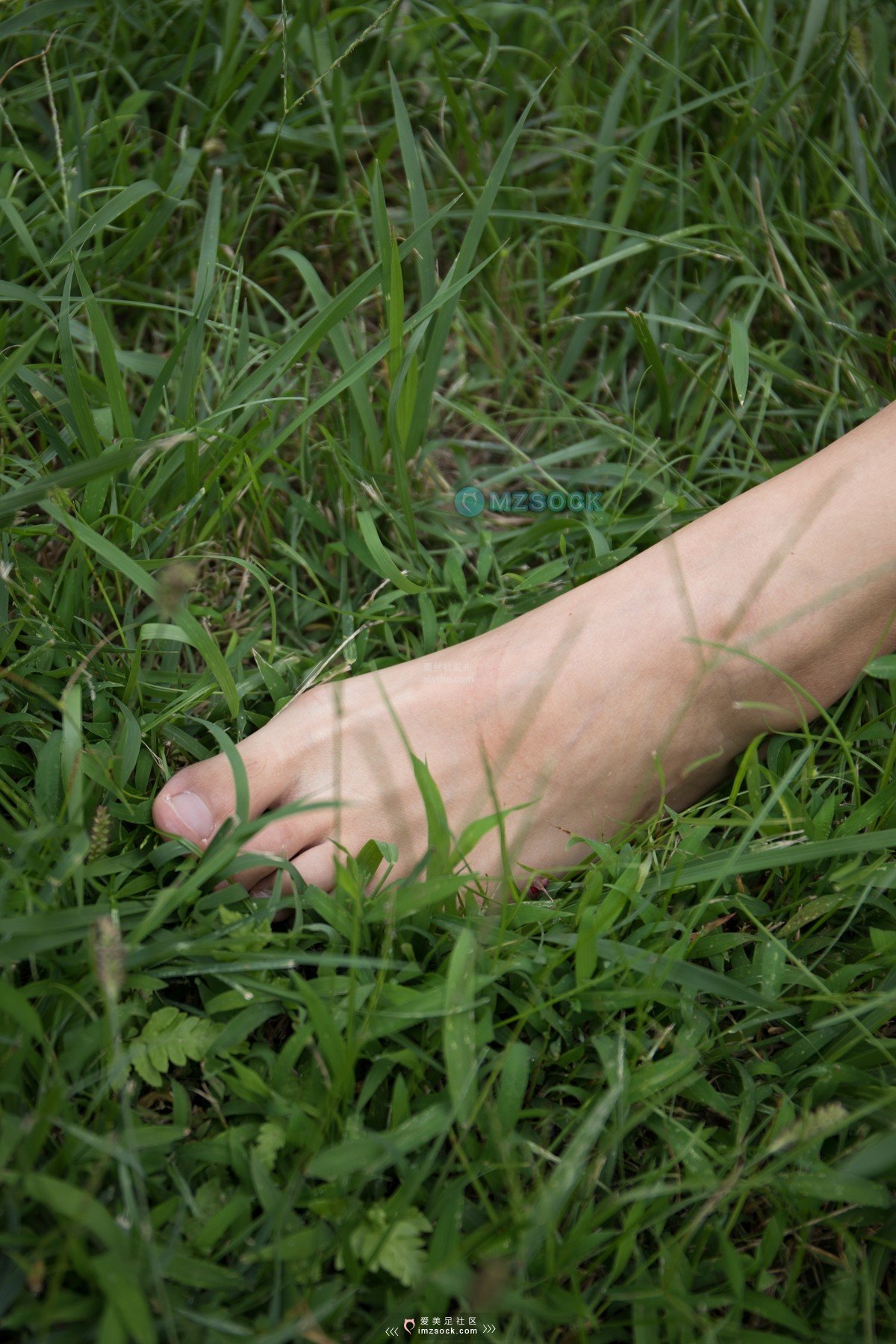 图片[57]-MZSOCK NO.271-2018年-爱每足原创 雅楠 白色小船袜-集美图