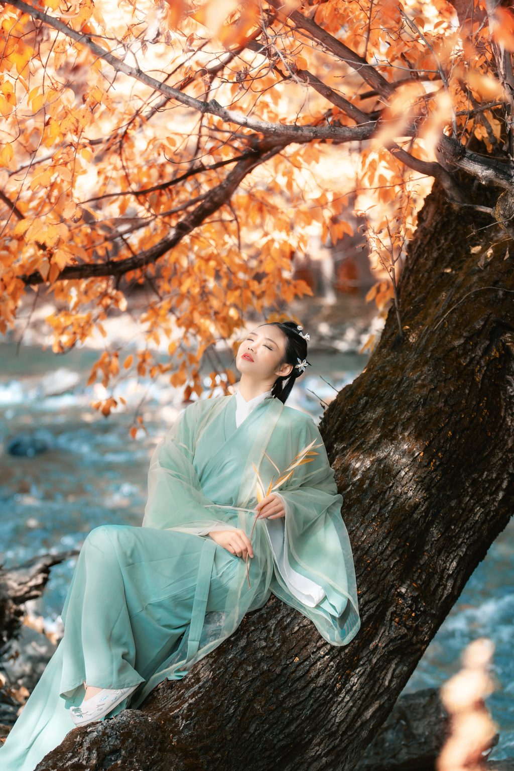 [YITUYU艺图语]2023.02.09 秋叶渐红 谢阿玲