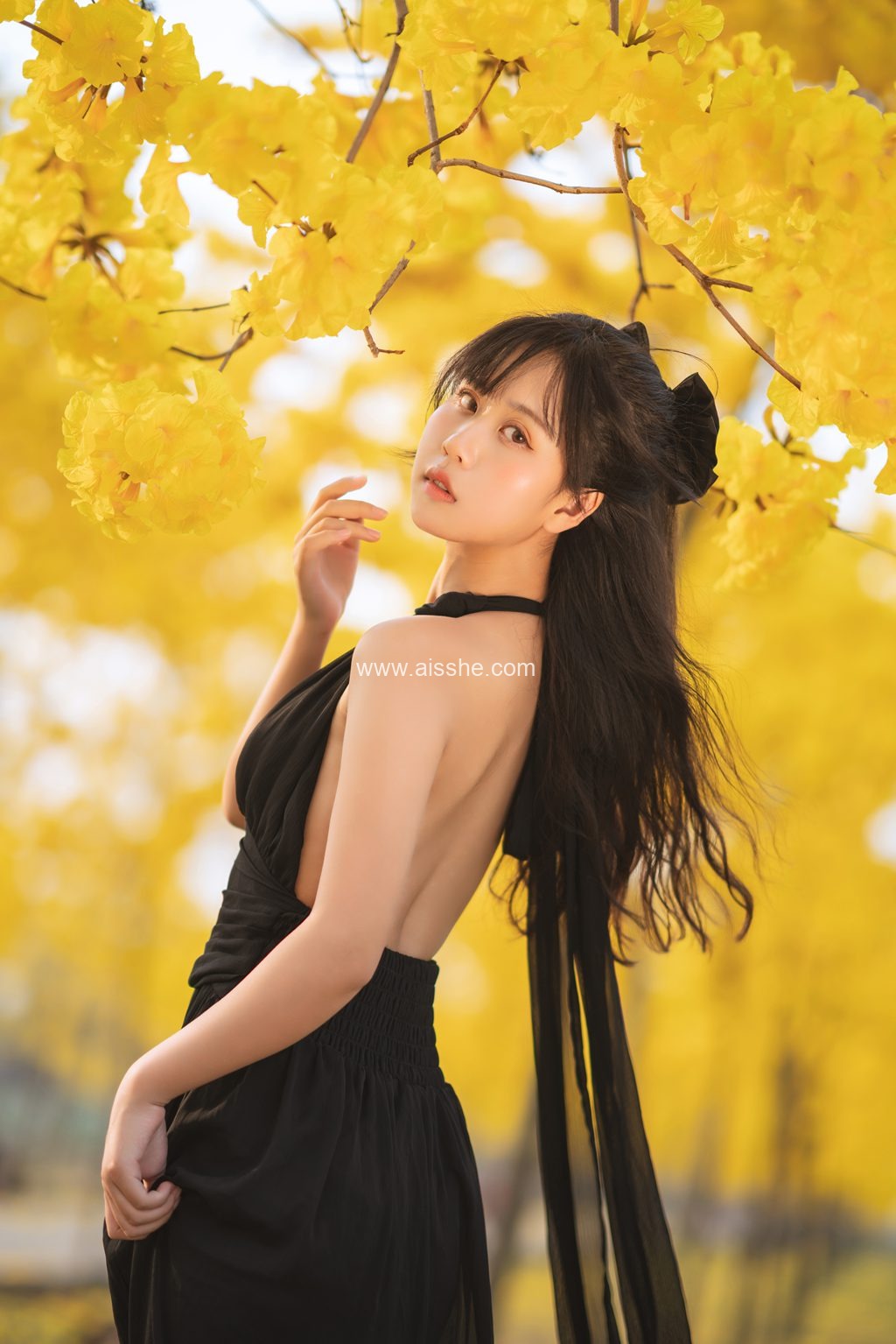 [YITUYU艺图语]2023.02.14 秋有银杏 春有黄风铃 萌芽儿o0