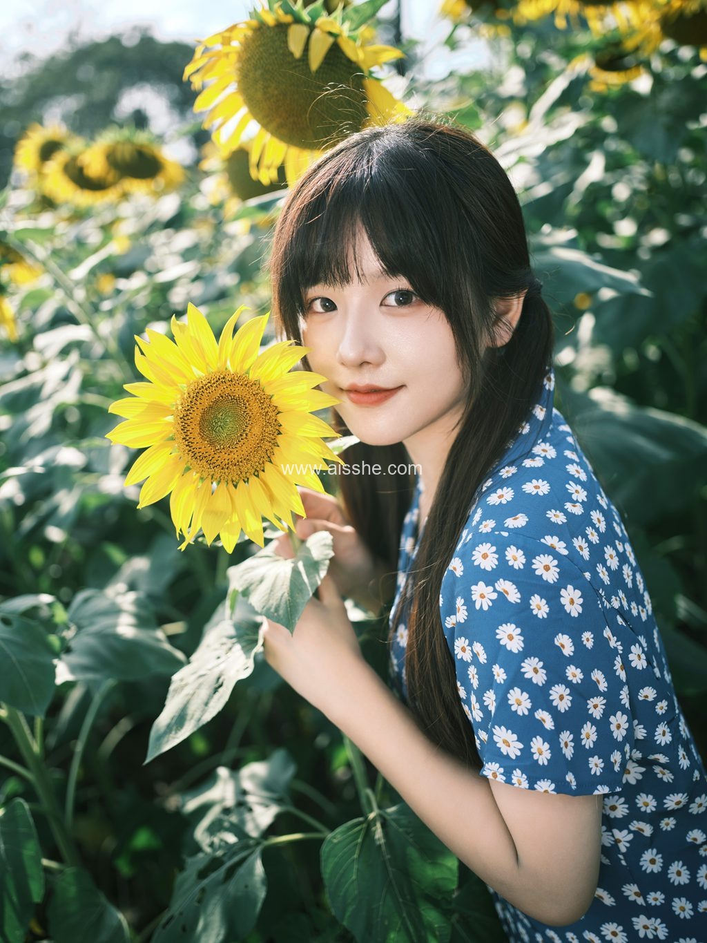 [YITUYU艺图语]2023.02.15 向日葵 宵宵喵