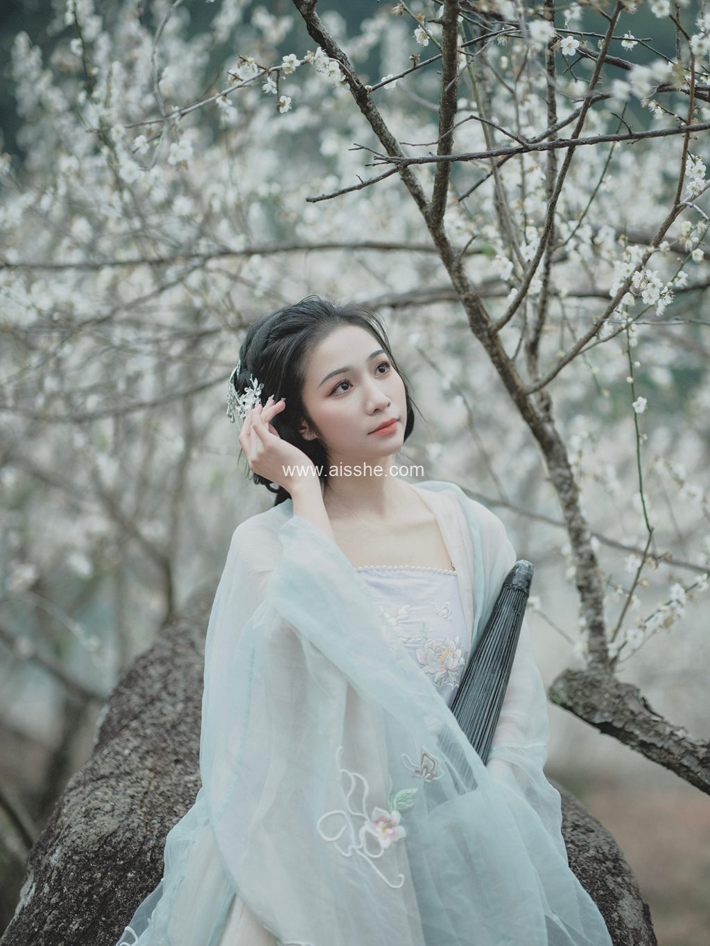 [YITUYU艺图语]2023.02.16 冬梅 轻舟