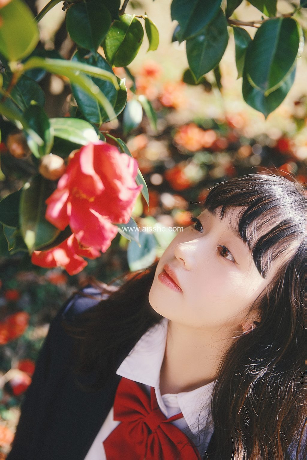 [YITUYU艺图语]2023.03.23 山茶花又开 natasha