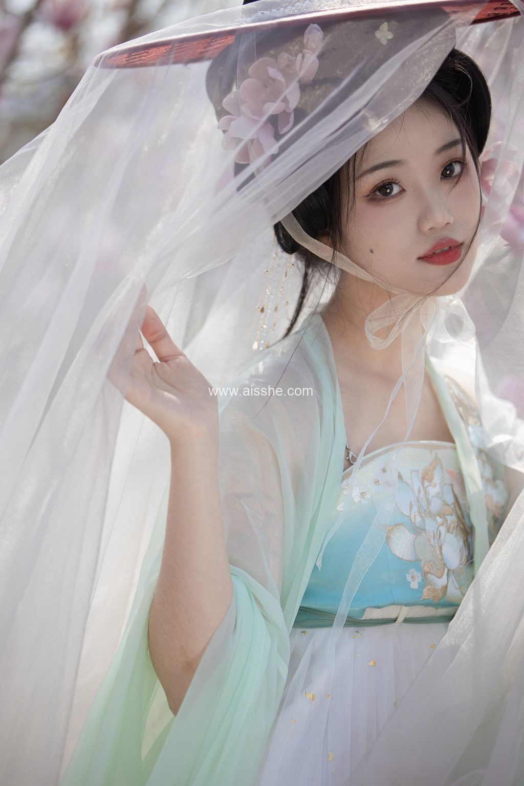 [YITUYU艺图语]2023.03.26 玉兰 晚江亭