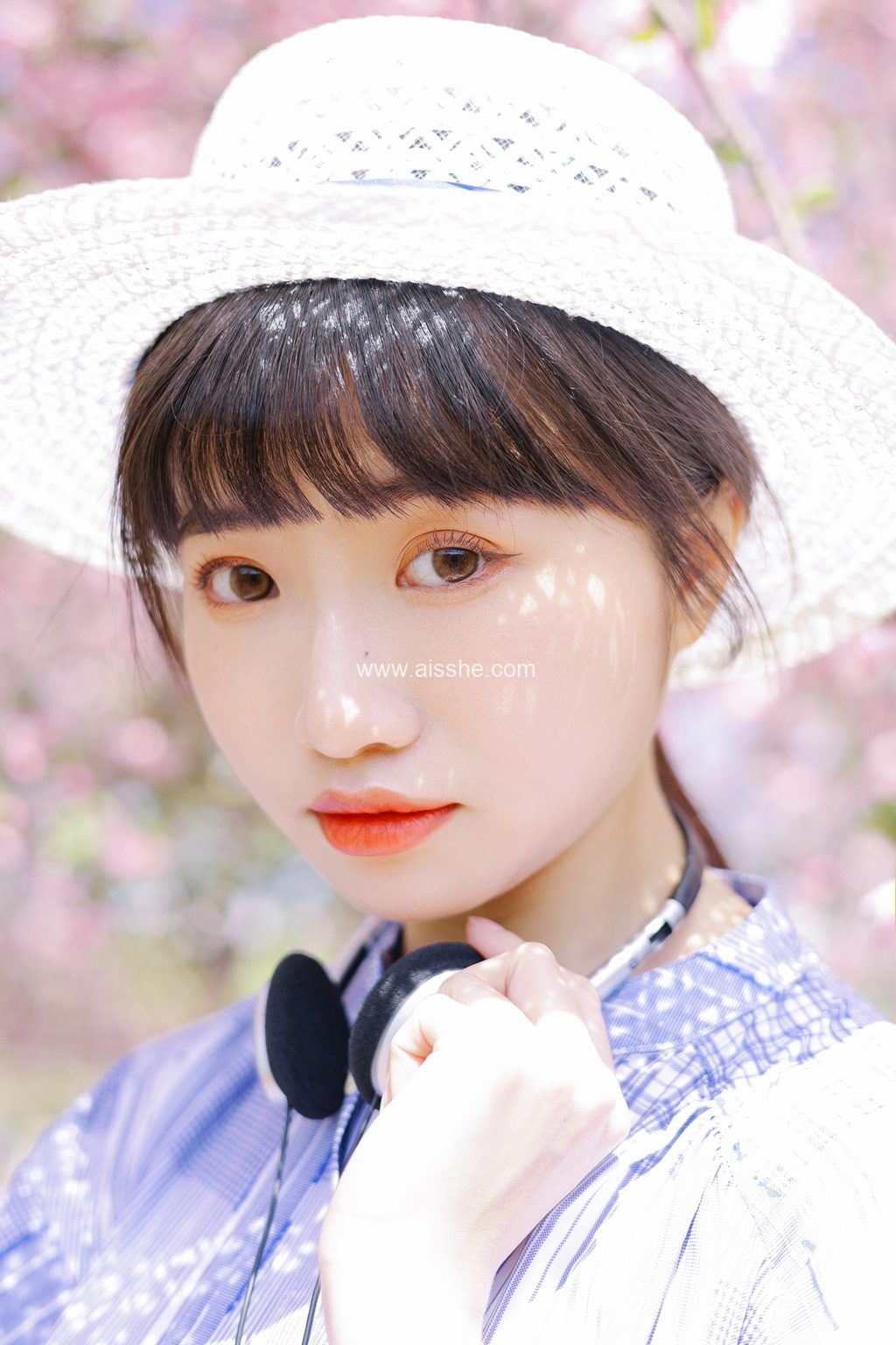 [YITUYU艺图语]2023.03.28 海棠花开 蓝胖子